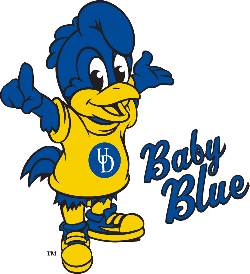Delaware Blue Hens 2018-Pres Mascot Logo DIY iron on transfer (heat transfer)